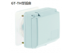 ¹ʿBS GT-TH13146 400V/32A/5P/IP44